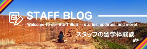 スタッフブログ